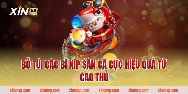 Bỏ túi các bí kíp săn cá cực hiệu quả từ cao thủ