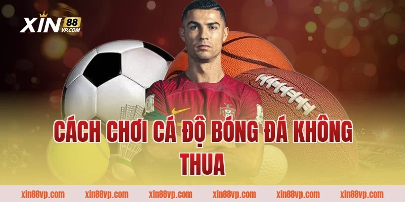 Cách chơi cá độ bóng đá không thua