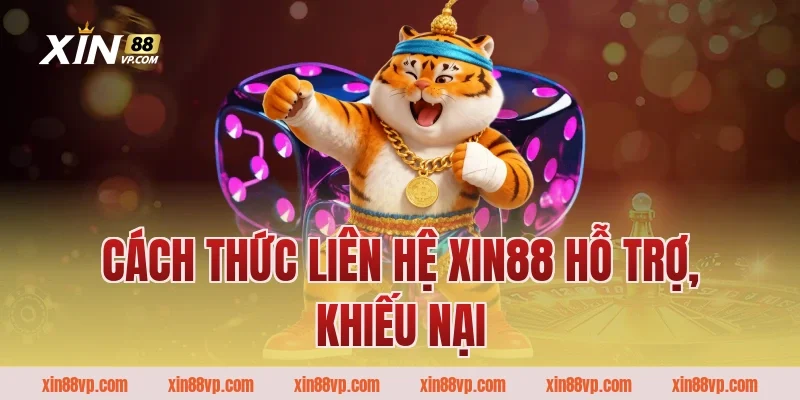 Cách thức liên hệ Xin88 hỗ trợ, khiếu nại