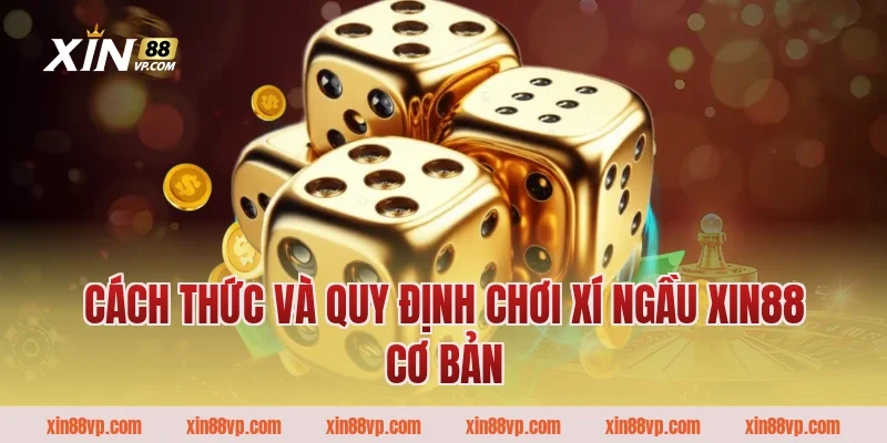 Cách thức và quy định chơi Xí ngầu Xin88 cơ bản