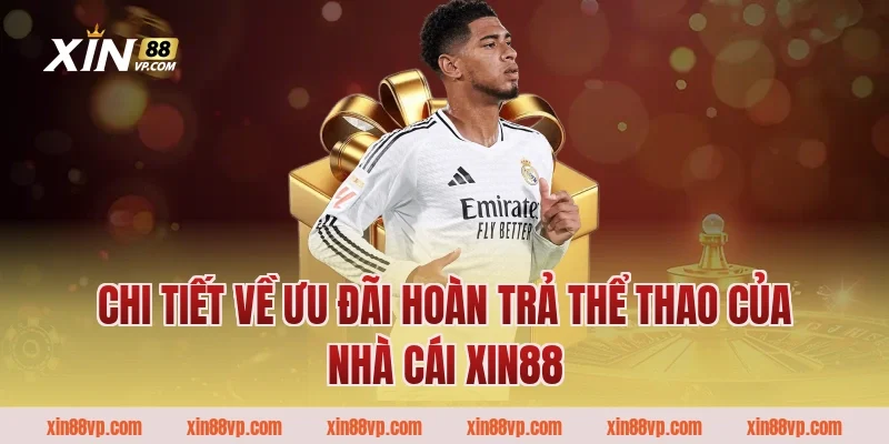Chi tiết về ưu đãi hoàn trả thể thao của nhà cái Xin88
