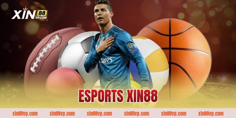 Kinh nghiệm cá cược ESports Xin88 cho người mới tham gia