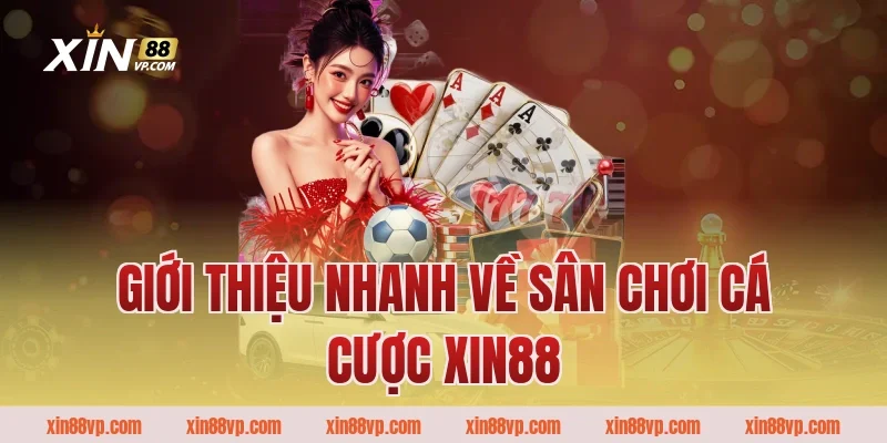 Giới thiệu nhanh về sân chơi cá cược Xin88