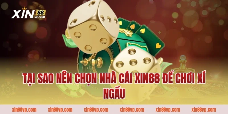 Tại sao nên chọn nhà cái Xin88 để chơi xí ngầu