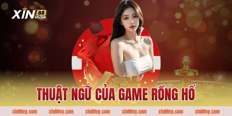 Thuật ngữ của game rồng hổ 