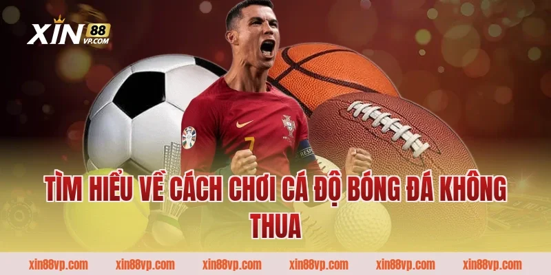 Tìm hiểu về cách chơi cá độ bóng đá không thua