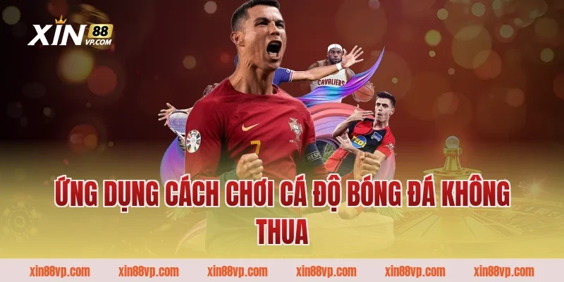 Ứng dụng cách chơi cá độ bóng đá không thua