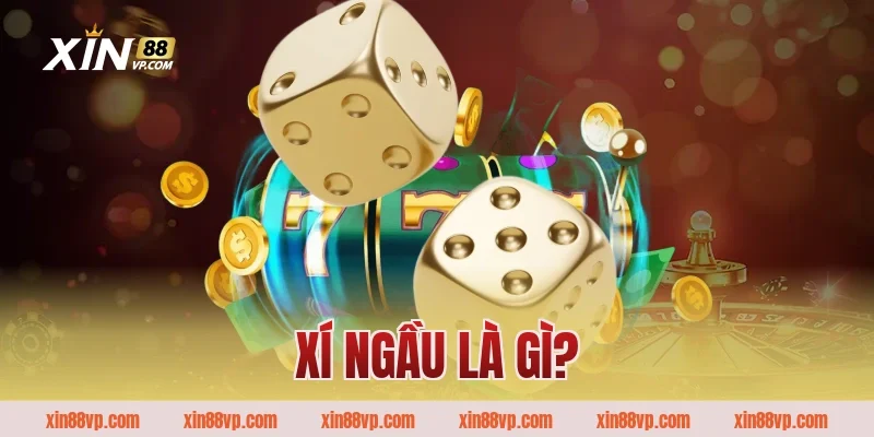 Xí ngầu là gì? 